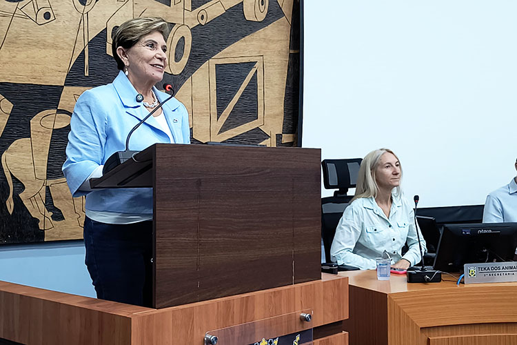 Plano de metas 2025-2028 é apresentado em audiência pública na Câmara Municipal