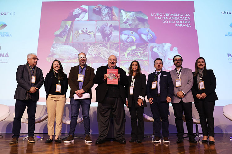 Imbaú ganha Reserva Particular do Patrimônio Natural