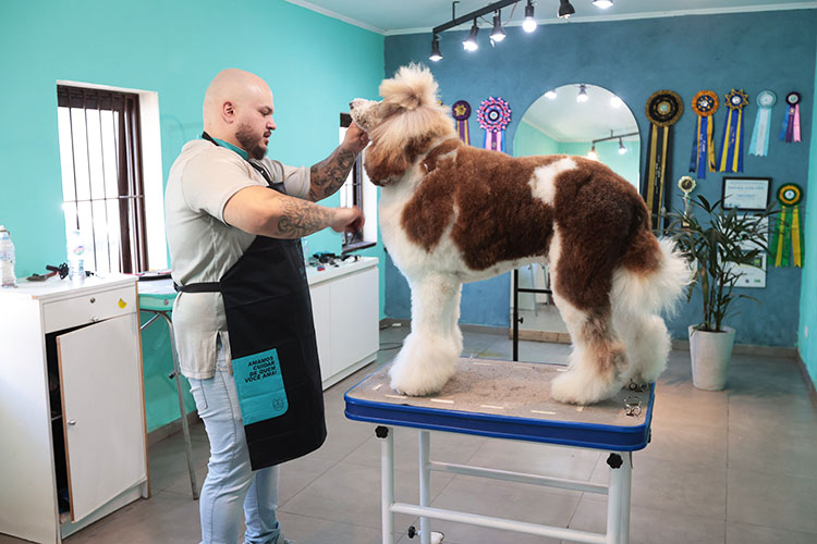 Com ampla variedade, setor de serviços lidera a geração de empregos no Paraná em 2025